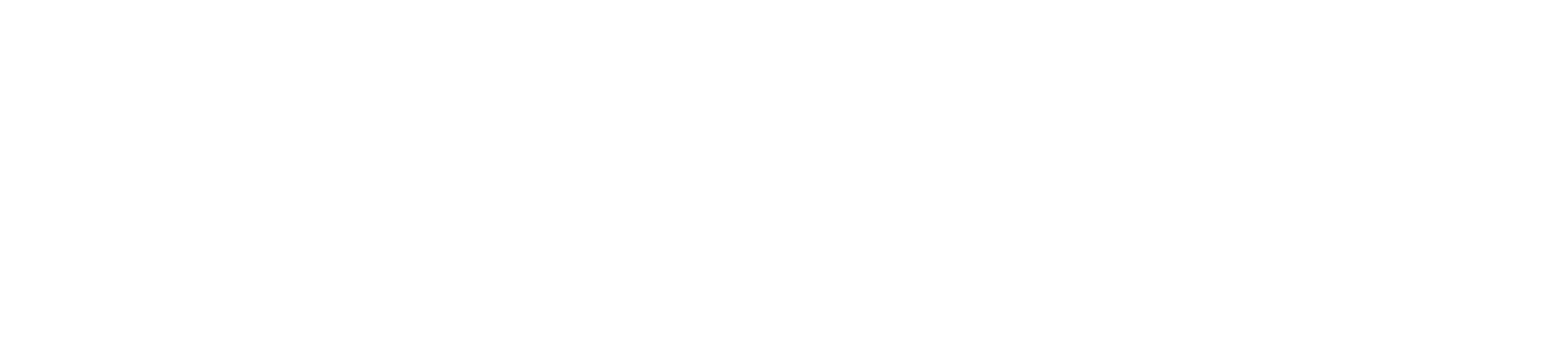 Stelkenberg Group logo