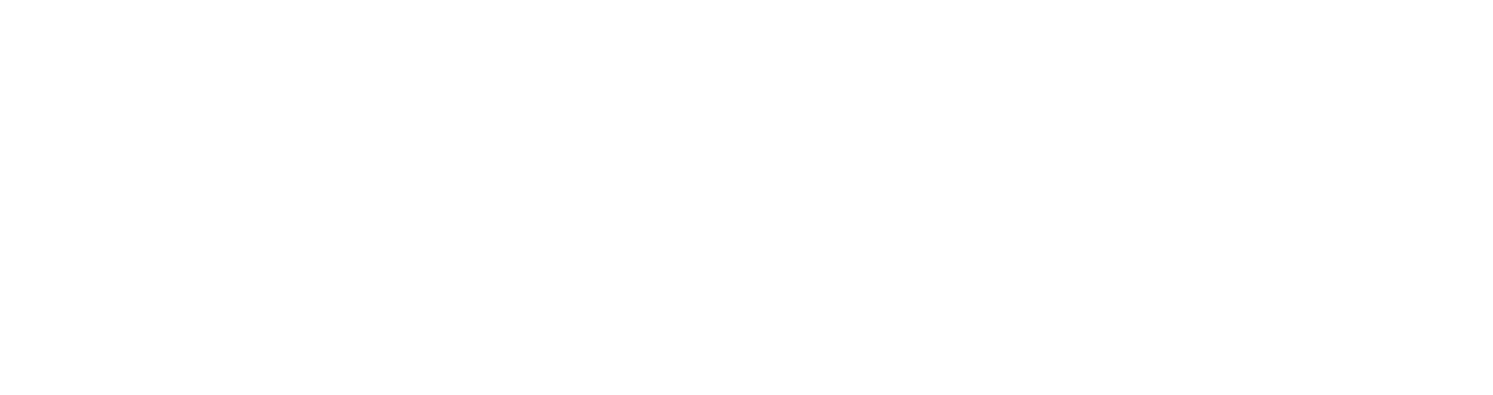 Sparkasse_Logo-weiß